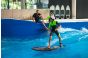 ThumbnailEIn Kind mit Helm surft auf der Indoorwelle in der Jochen Schweizer Arena